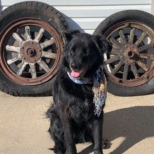 Meet your Posher, Thisnthat